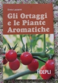 Le carote, coltivazione e cure dalla semina al raccolto di 