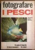 Fotografare i pesci