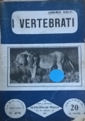 I vertebrati (INTONSO)