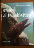 Animali al teleobiettivo