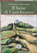 Il bene di Castelbuono