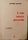 Il mio amore giovanile, 3a edizione