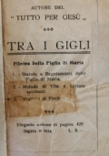 Tra i Gigli: filotea della figlia di Maria.