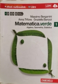 Matematica Verde 1