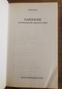 Napoleone, Un rivoluzionario alla conquista di un impero