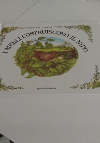 Primi voli in lettura di 