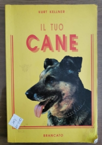 Il tuo cane