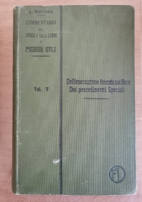 Dell’esecuzione forzata sui Beni dei procedimenti speciali