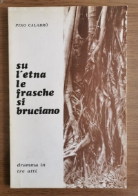 Su l’etna le frasche si bruciano