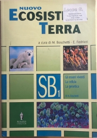 Nuovo ecosistema Terra SA-SB1-SB2-ST1-ST2