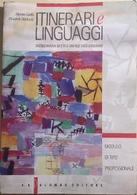 Itinerari e linguaggi, modulo di tipo professionale