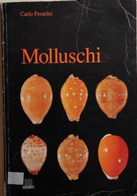 Molluschi