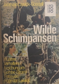 Wilde Schimpansen