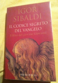 Il codice segreto del Vangelo. Il libro del giovane Giovanni di 