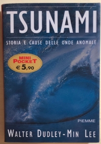 Tsunami. L’onda anomala