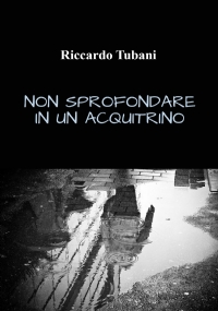 Non sprofondare in un acquitrino