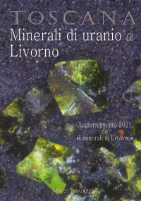 TOSCANA Minerali di uranio a Livorno