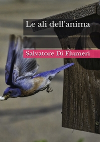 Le ali dell’anima