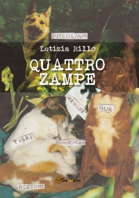 Quattro zampe