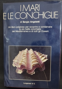 I mari e le conchiglie