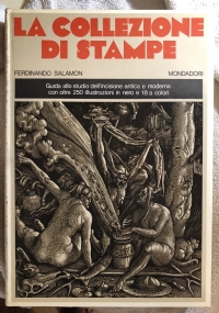 La collezione di stampe