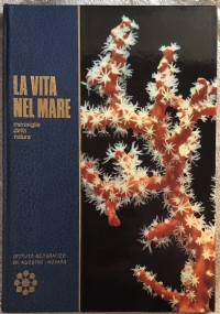 La vita nel mare