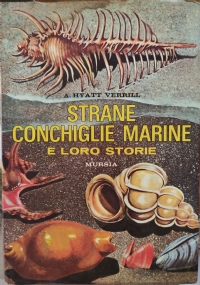 Strane conchiglie marine e loro storie