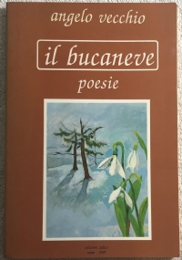 Il bucaneve