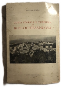 Guida storica e turistica di Boscochiesanuova