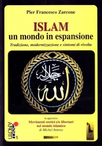 Islam, un mondo in espansione tradizione, modernizzazione e sintomi di rivolta