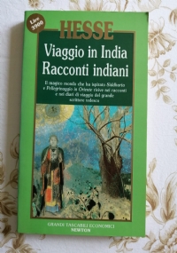 Viaggio in India di 