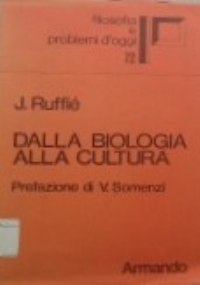 Cultura di 