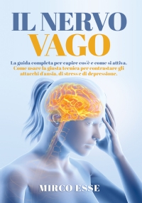 Il Nervo Vago. La guida completa per capire cos’è e come si attiva. Come usare la giusta tecnica per contrastare gli attacchi d’ansia, di stress e di depressione.