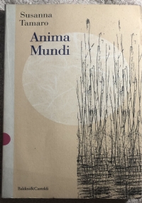 Anima mundi