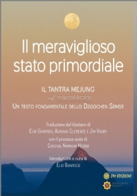 Il Meraviglioso Stato Primordiale