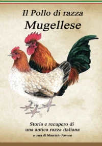 Il Pollo Di Razza Mugellese