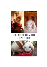 The Tales of Cruscotto, Luna and JoJo