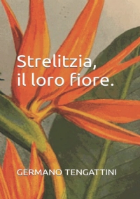 Strelitzia, il loro fiore.