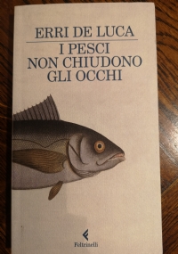 I pesci non chiudono gli occhi di 