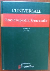 DIZIONARIO SPAGNOLO - Nuevo diccionario esencial de la lingua espanola di 