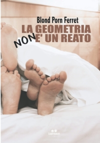 LA GEOMETRIA NON È UN REATO