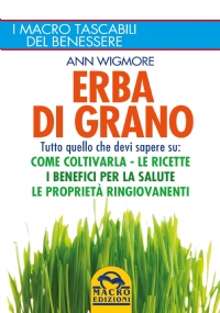 Erba di Grano