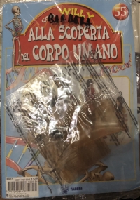 Alla scoperta del corpo umano con Willy n. 55 Muscolo infraspinato braccio di AA.VV.