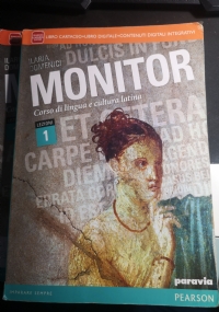 Monitor - grammatica di 