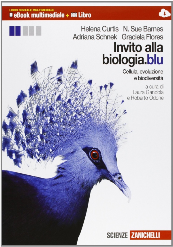 Invito alla biologia blu, biologia molecolare, genetica ed evoluzione. Il corpo umano con biology in English di 