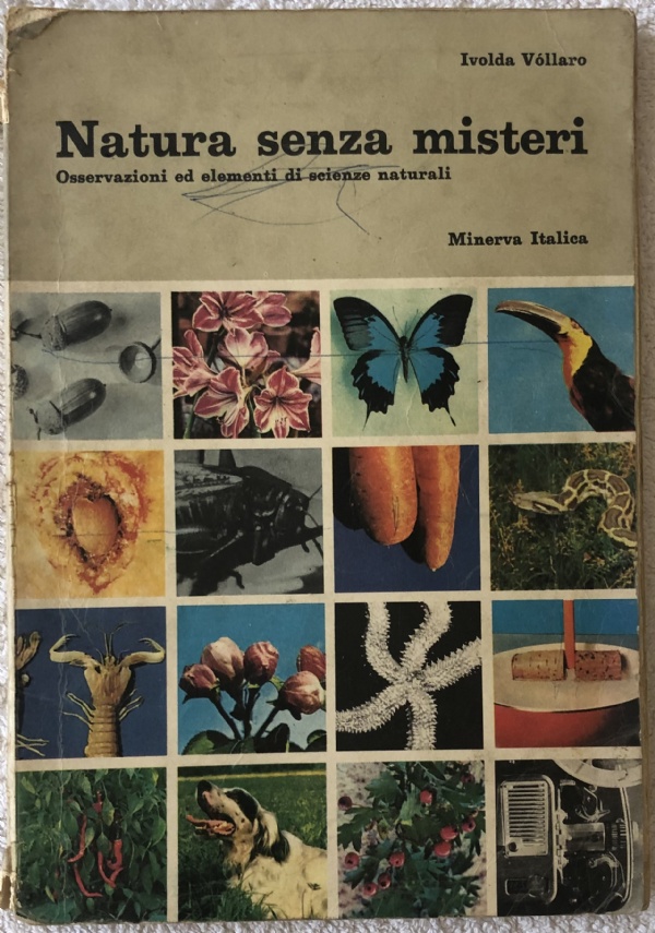 Natura senza misteri Volume 3 di Ivolda Vollaro