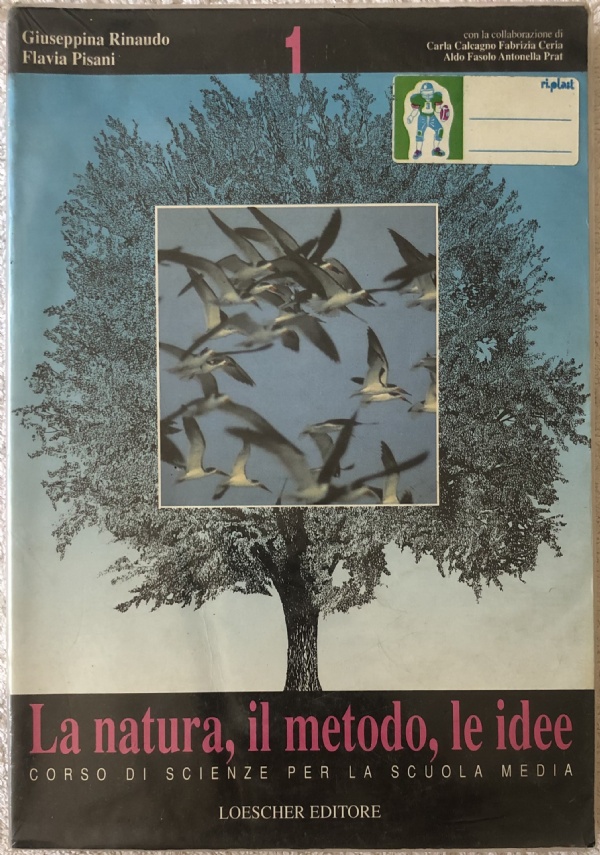 La natura, il metodo, le idee 1. Corso di scienze per la Scuola media di Giuseppina Rinaudo,          Flavia Pisani