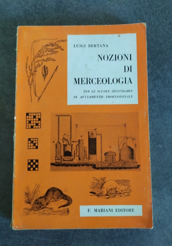 La Chiesa - Testo di cultura religiosa per i soci effettivi della giovent italiana di A.C. di 