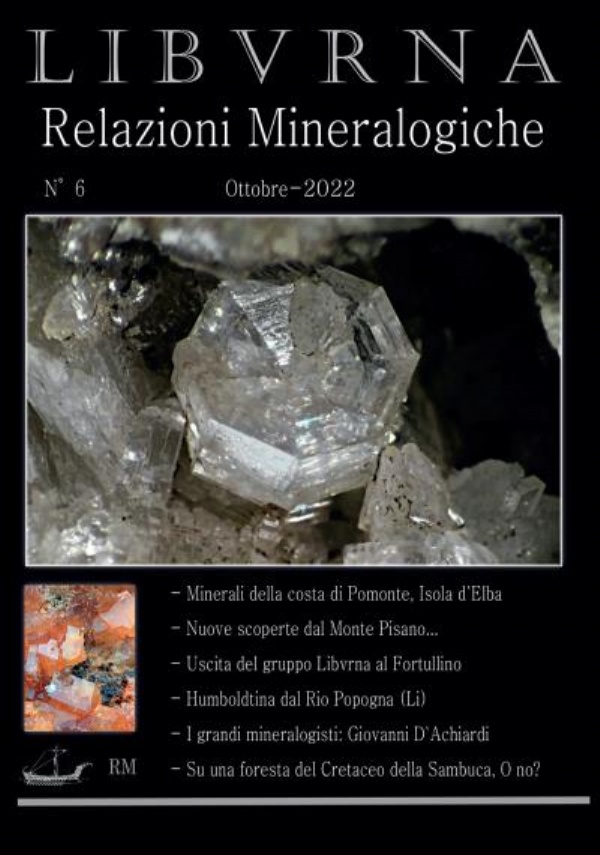 Libvrna N° 6 - Relazioni Mineralogiche - Ottobre 2022 di Marco Bonifazi