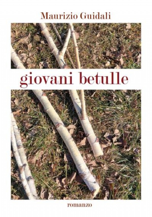 Giovani betulle di Maurizio Guidali